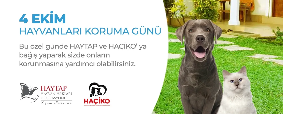 Sosyal Sorumluluk